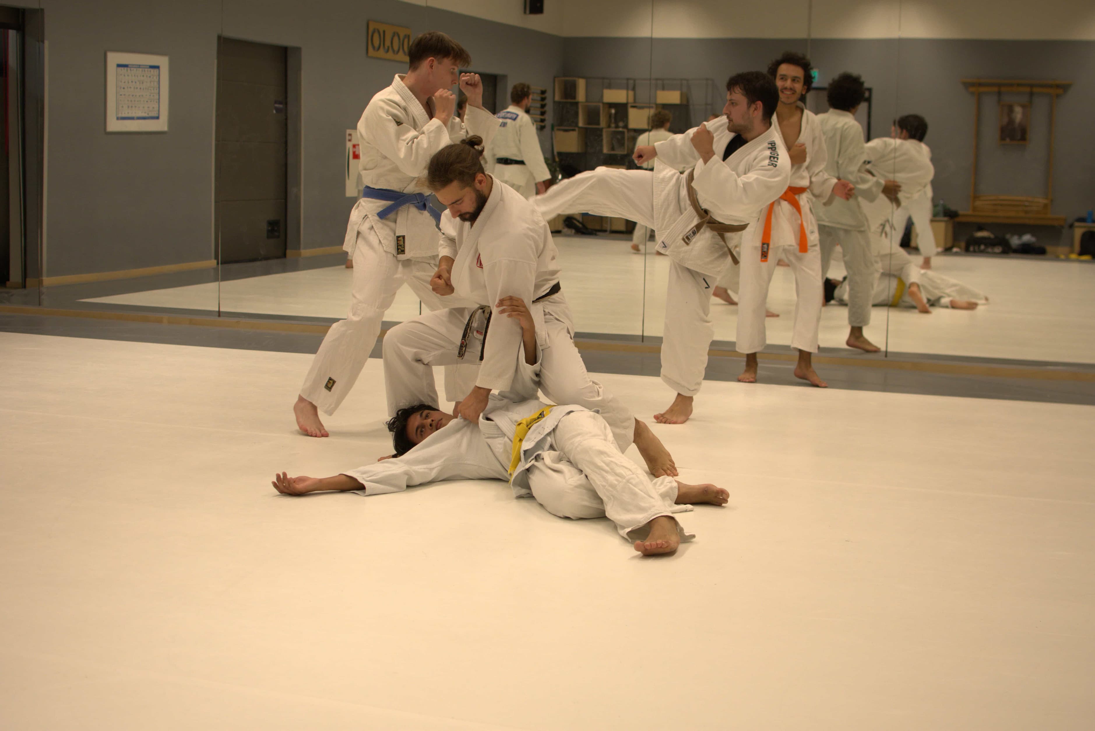Yoroshi members practising jiu jitsu